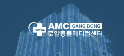AMC