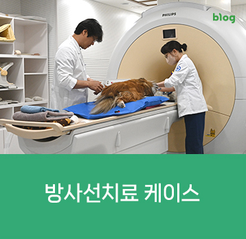 방사선치료 케이스