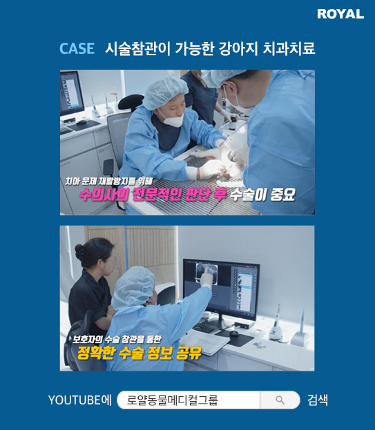 반려동물 치료 사례 1
