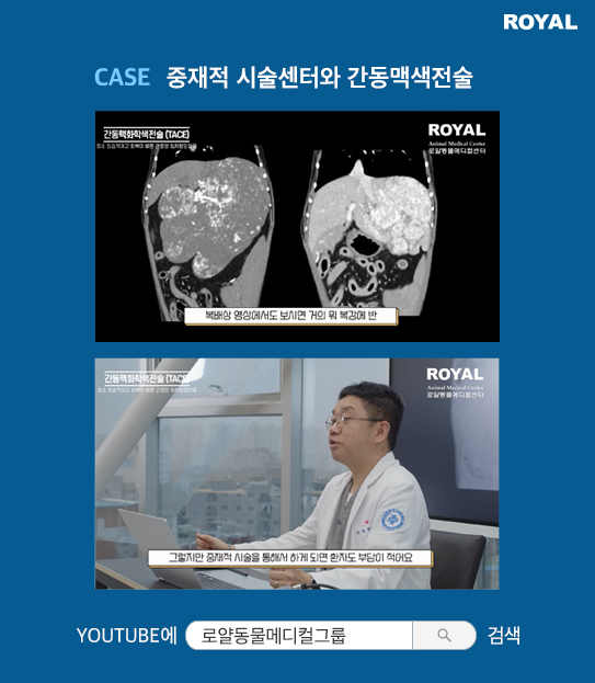 반려동물 치료 사례 2