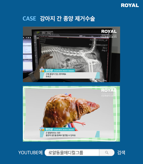 반려동물 치료 사례 11